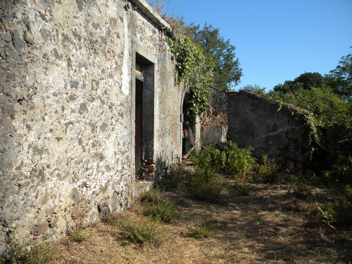 DSCN8120 .JPG